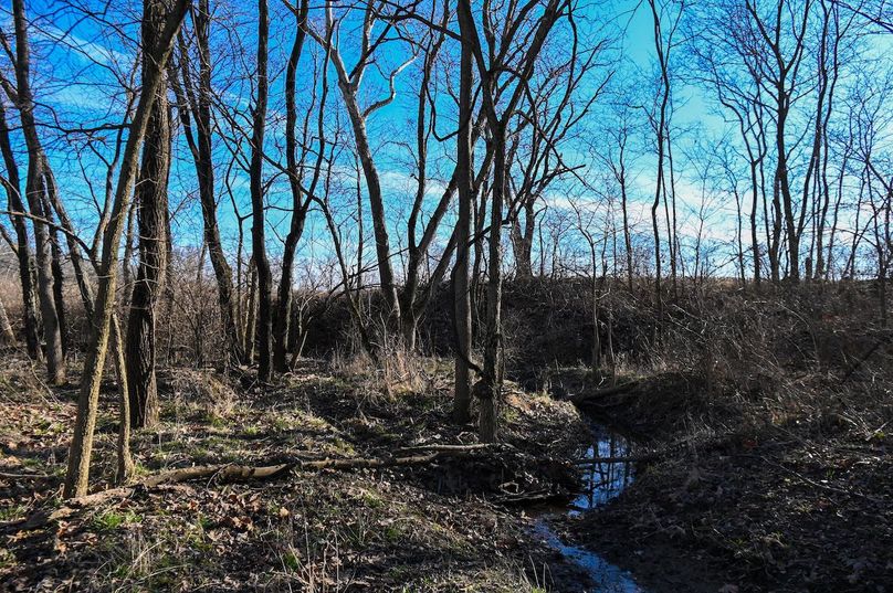 vandalia 450 (2)-2223