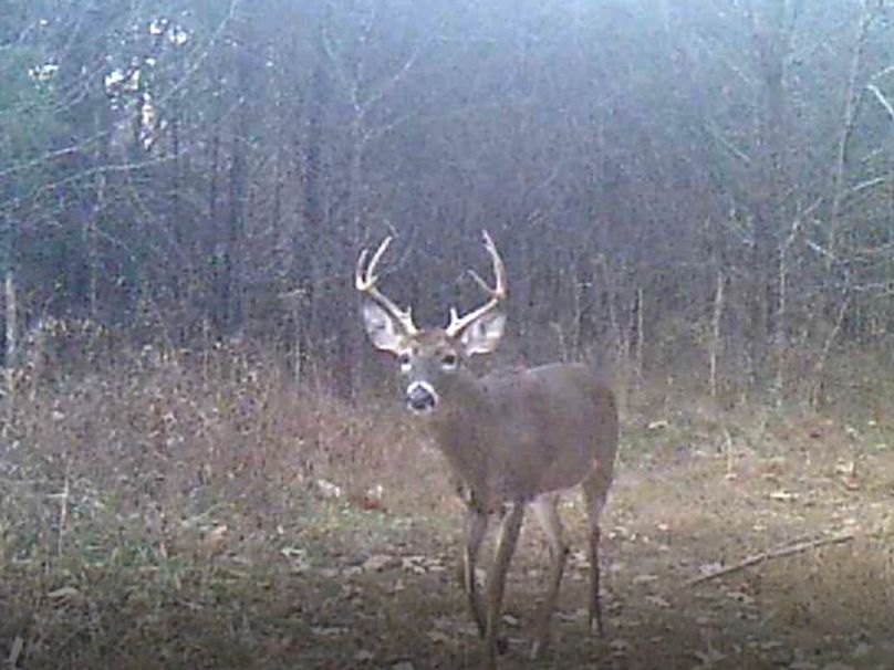 Screenshot 2024-03-02 133418