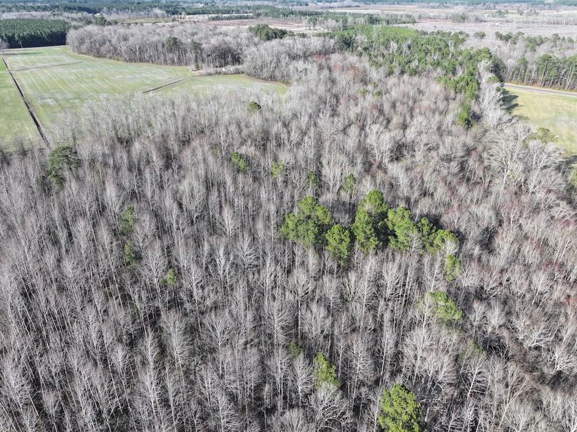 dji_fly_20240226_160326_0066_1709382189876_photo