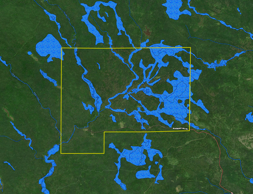 3437 Blueberry Hill Rd. wetlands layer map