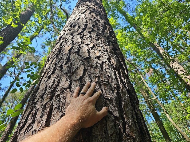 2.72ac_St Marys Rd_QAnnes_09