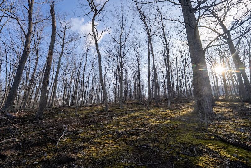 Copy of Hampshire WV 200 Featured_Pro Photo-40