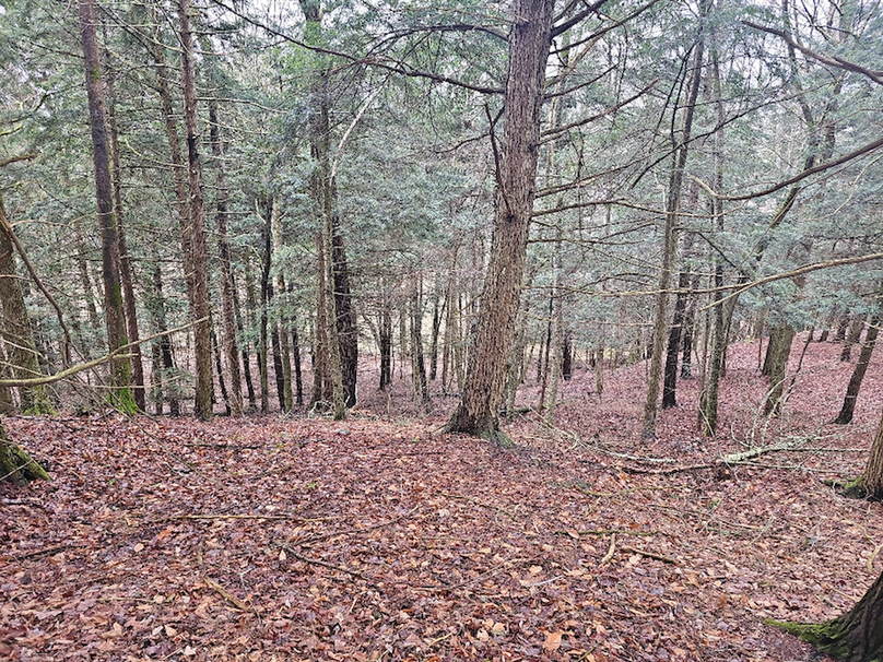 photo_e6ef40cb-988d-4ae9-a24d-99be9bbe51a1