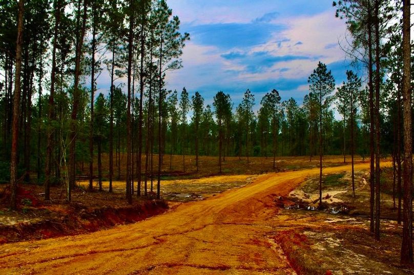 14038704-0DA9-4BBD-8BCA-BCC0FA24F9C6_1_105_c