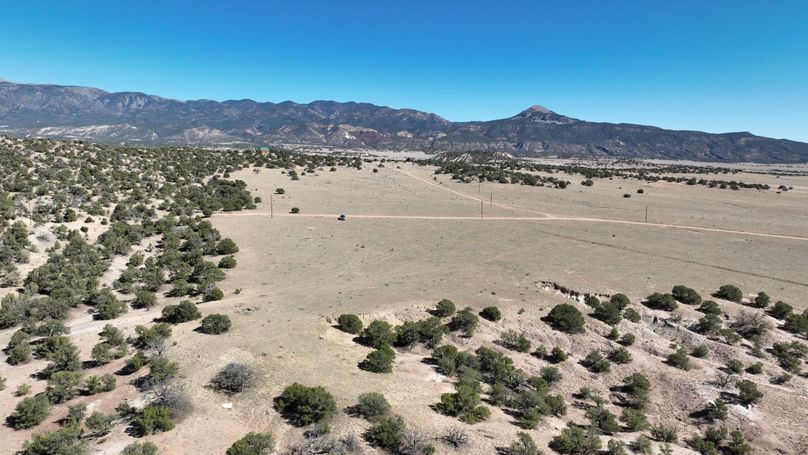 DJI_0121
