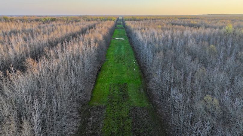 Panola 164.7 SPI Land Ventures-54