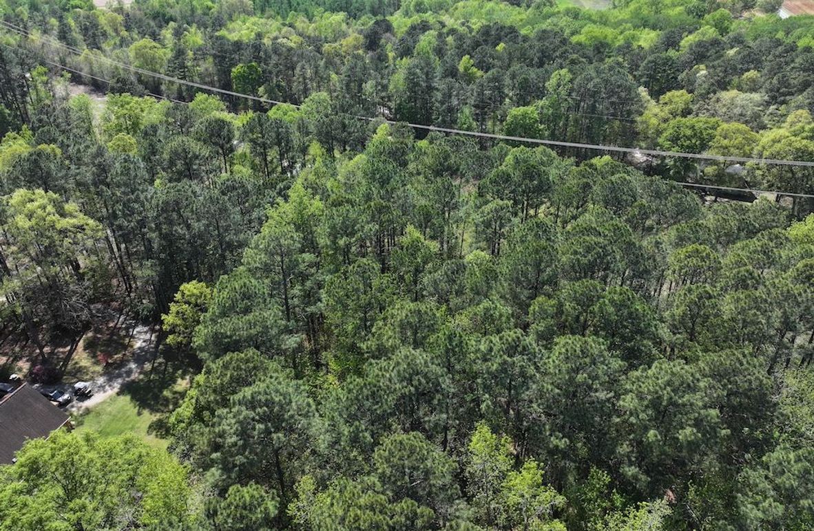 dji_fly_20260320_114946_0611_1776087142076_photo