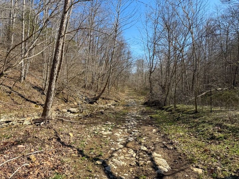 Fleming Petry 120-089