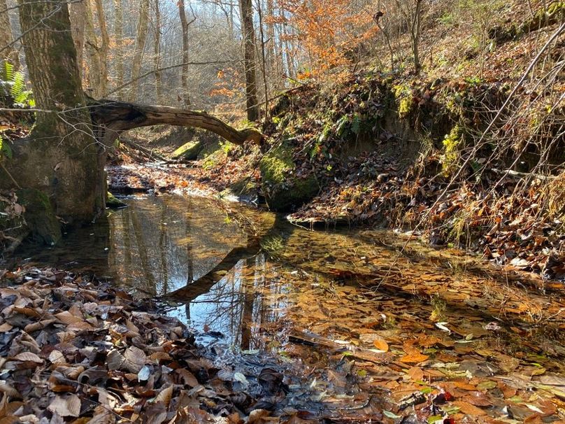 023 the creek flowing through the property