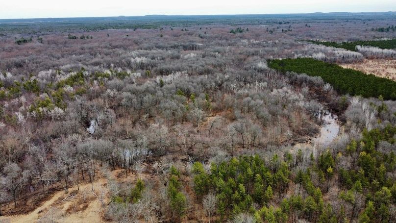 dji_fly_20250404_130236_744_1744067517219_photo_optimized 2