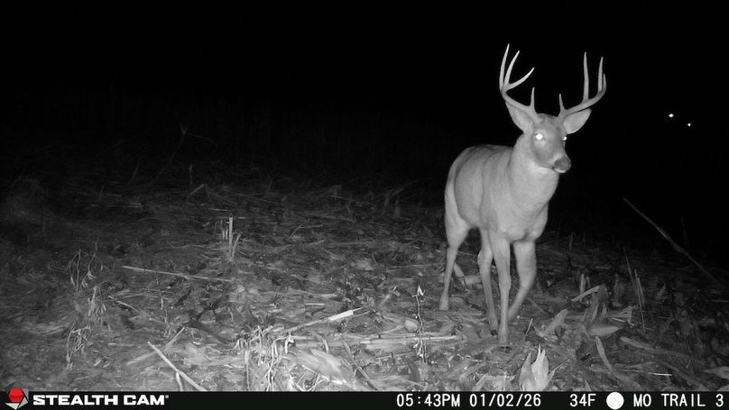 2026010217430001003371_ColorizationType.none