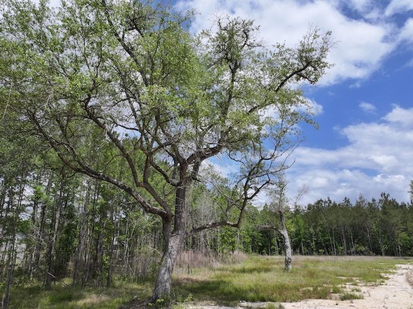 dji_fly_20260417_101910_0123_1776450668340_photo