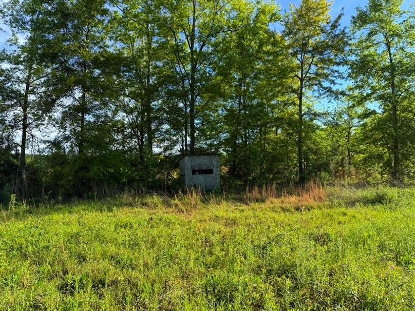 8EB2DA2A-4DD6-46D9-A861-62558D205282_1_105_c