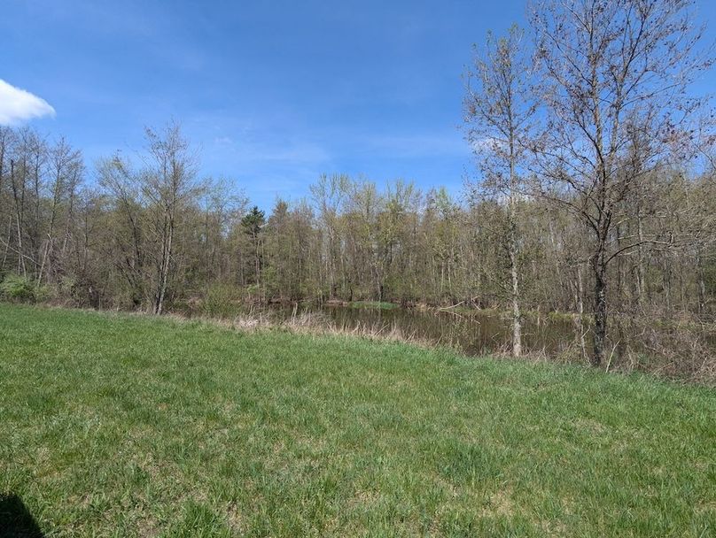 PXL_20250422_165152205