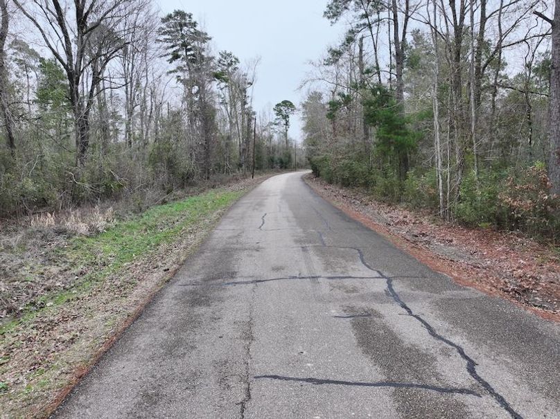 dji_fly_20260123_105034_0890_1769444801627_photo