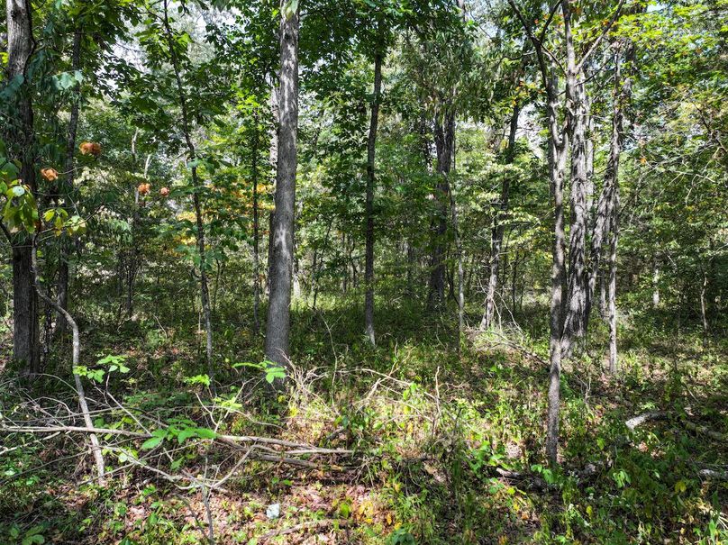 DJI_20250904124735_0589_D