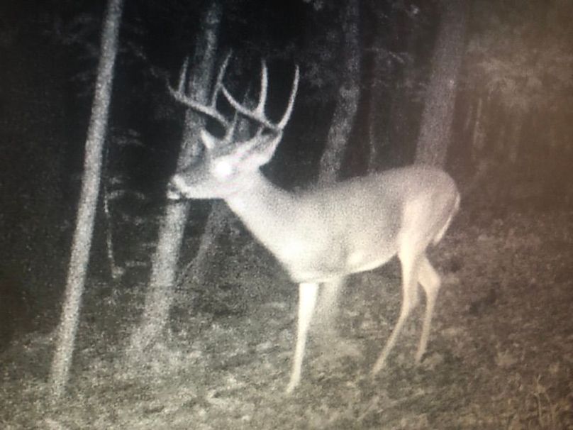 trail cam 1