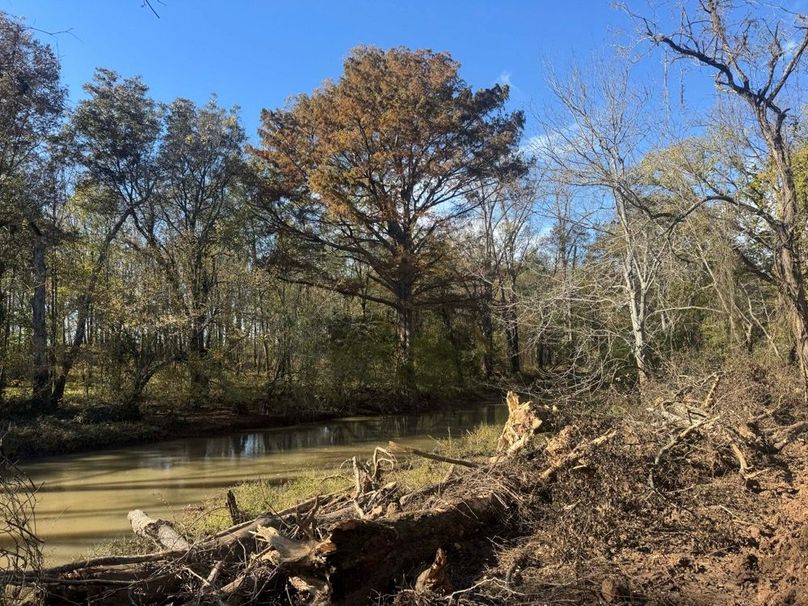 1a1 jeff 8320251111_0272