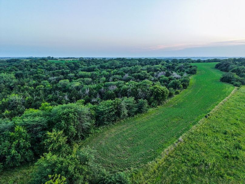 DJI_20250723203149_0449_D