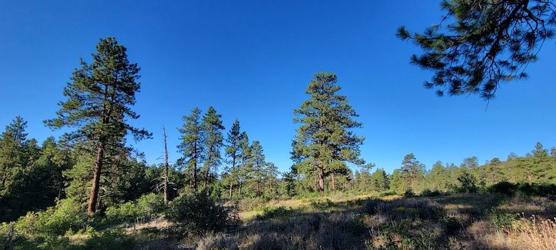 Copy of 20210827_080833 (1)