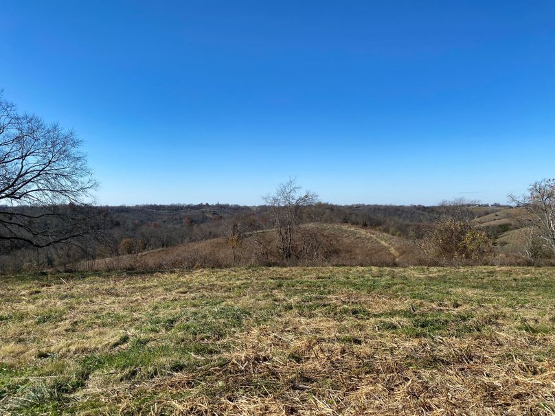 013 the knoll behind the barn, tremendous location for a dream home site.
