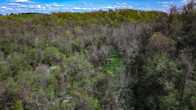 DJI_20250425040510_0427_D