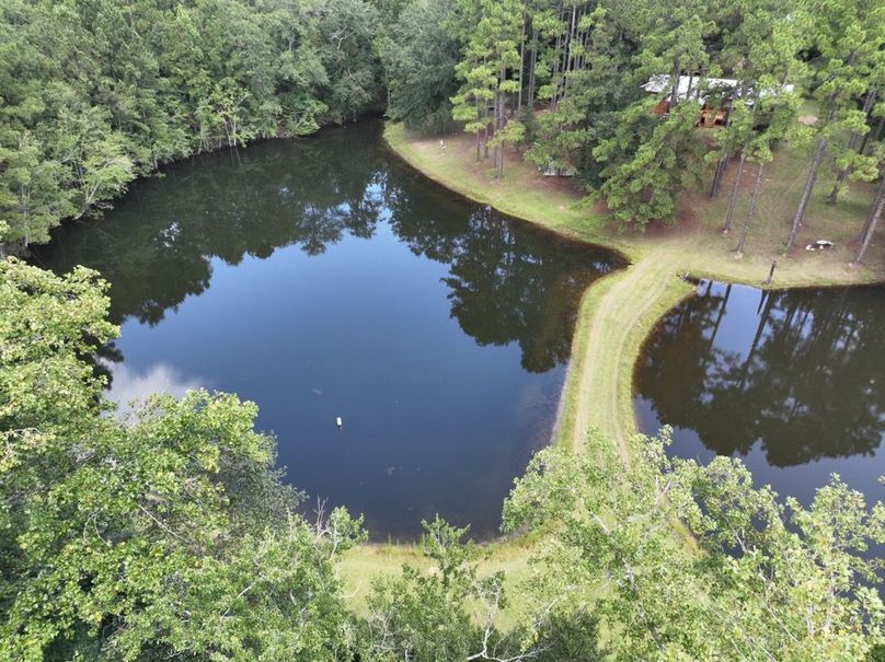 68C3D19A-6285-430F-A44E-6A0BF798E85B-2