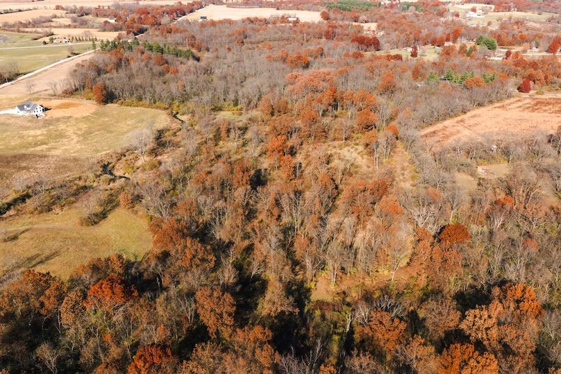 DJI_20251116124620_0171_D