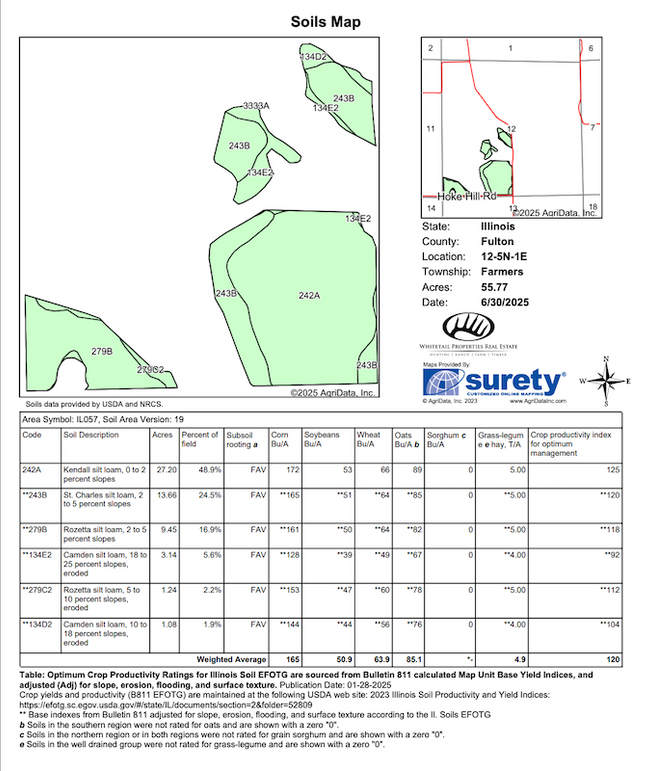 Screenshot 2025-06-30 at 7.31.55 PM