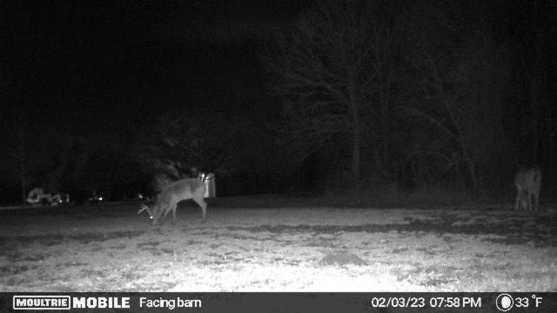 image638111036547894031