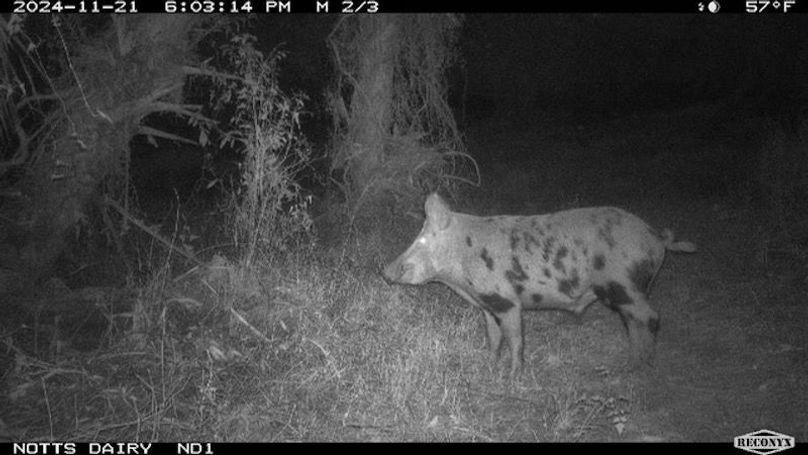 022583C5-2084-4099-BB02-54F57986F001