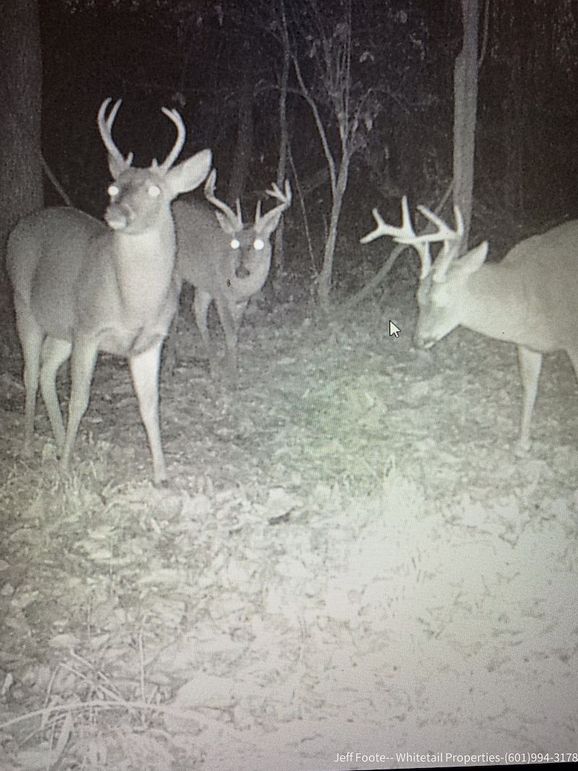 Hinds - 25.48 - Hank Beasley-17