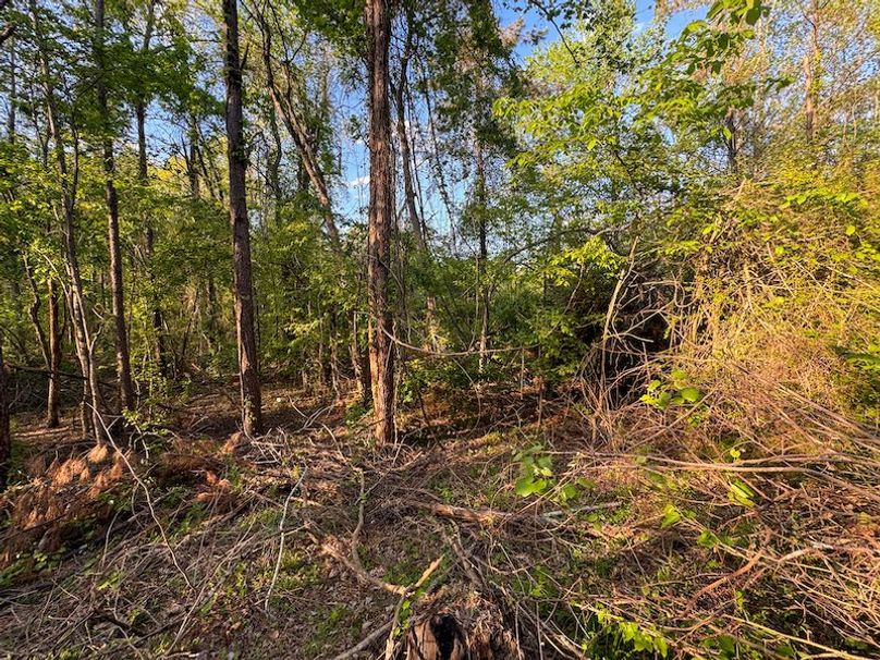 Tallahatchie 44 Newman (Crowden) Wide-47