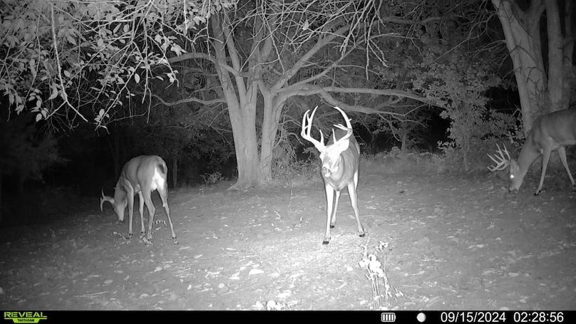 8.5 - New Trail Cam