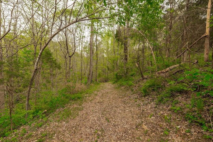 70-web-or-mls-1103 Johnny Spears Rd-63