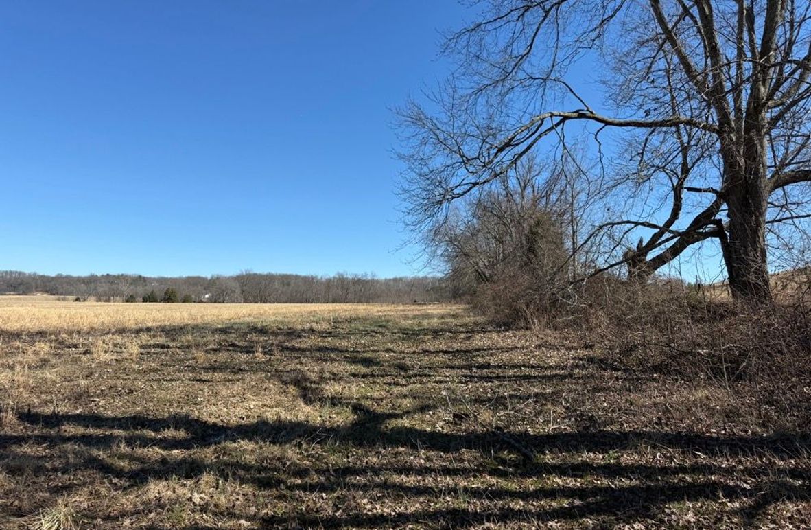 004 view from the south boundary looking to the east along the fence line
