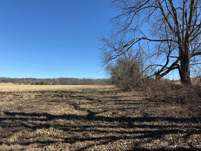 004 view from the south boundary looking to the east along the fence line