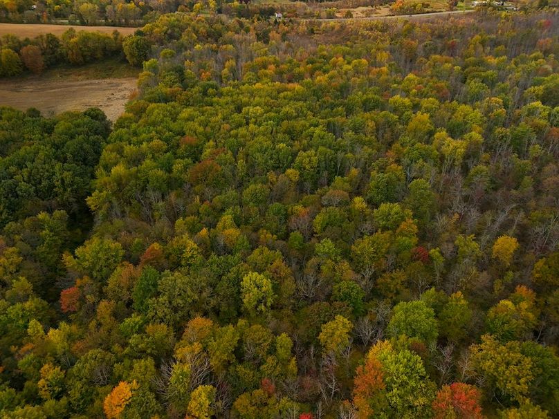 Wayne_29.09_BD_LandParcel_22