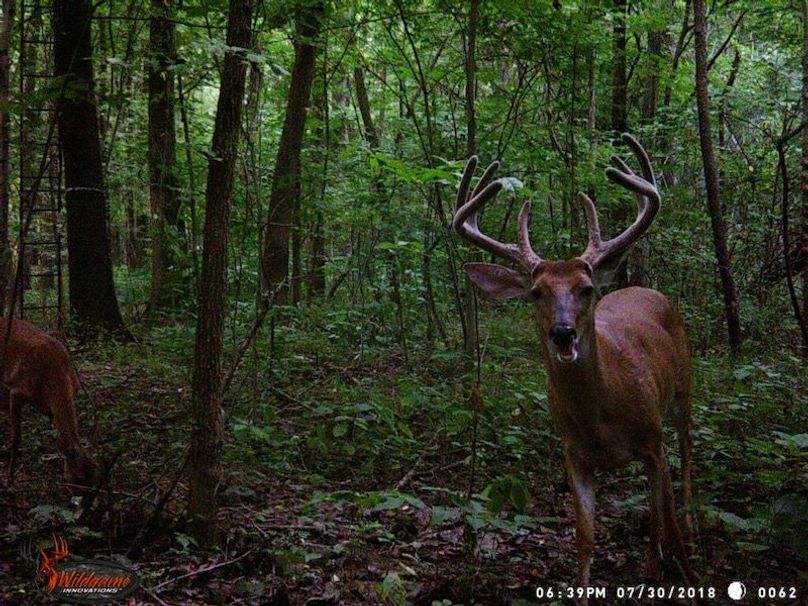 16315-MMS-1534524366801-attachment1-WGI_0062