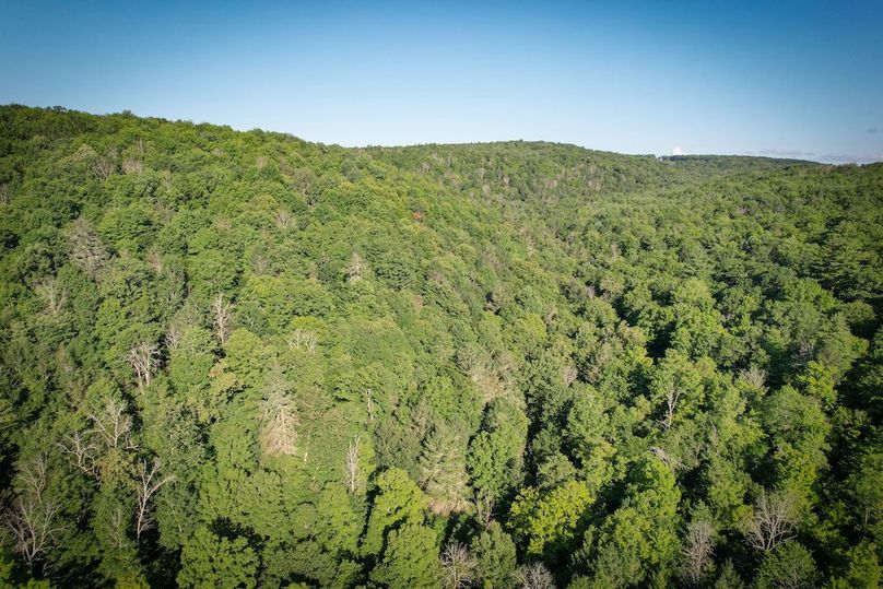 Tioga_82.5_Williams_Photos_14