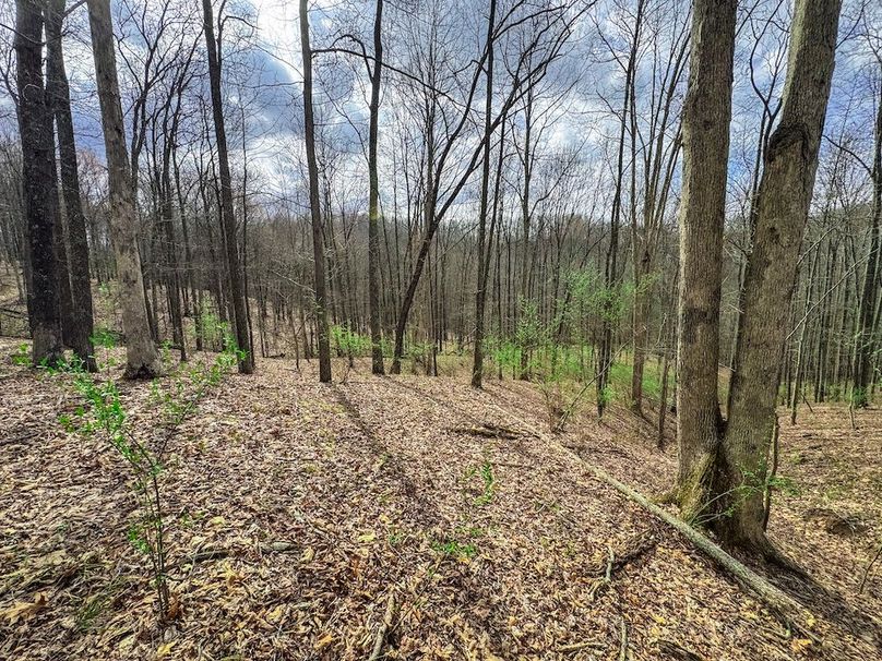 Ritchie, WV 206.08 AC Curriden-60