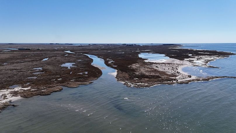 dji_fly_20250303_122418_0019_1741039482709_photo