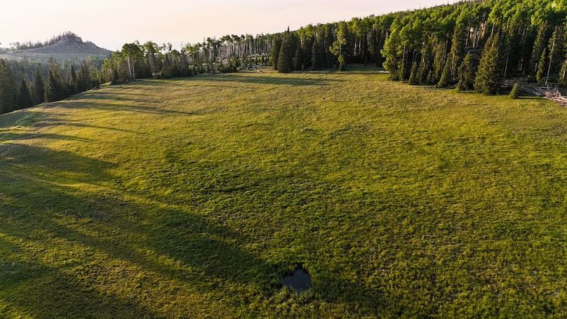 DJI_20250628065054_0173_D
