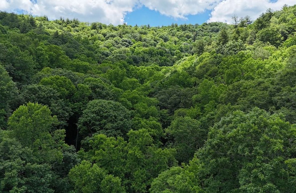 dji_fly_20240624_140254_0006_1719260733628_photo