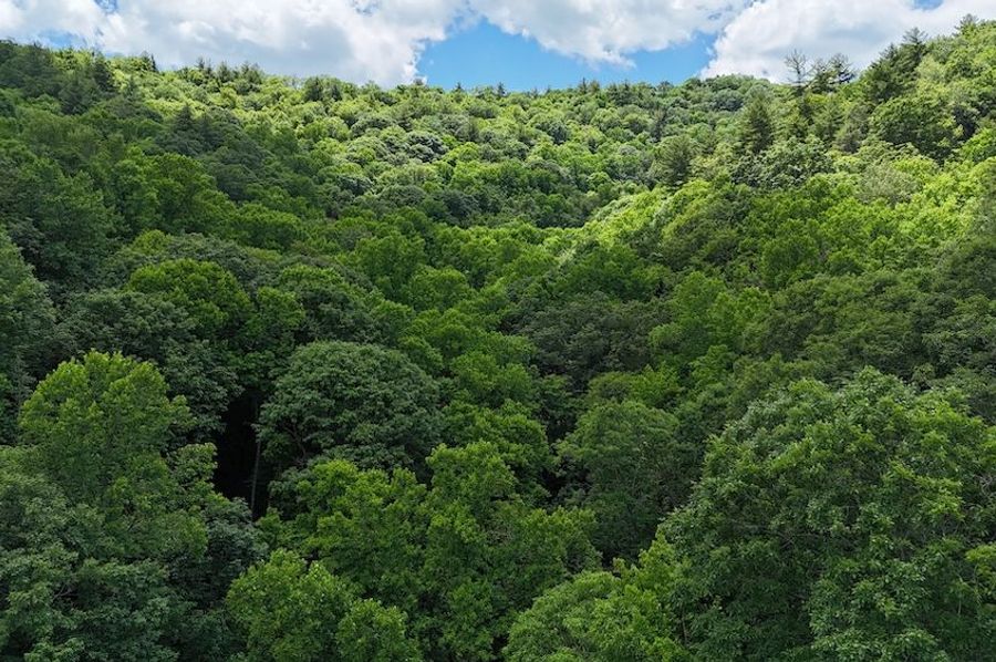 dji_fly_20240624_140254_0006_1719260733628_photo