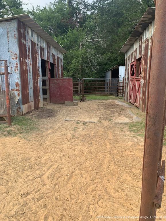 Hinds - 25.48 - Hank Beasley-7