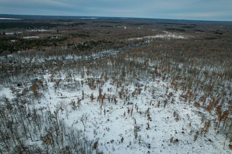 Adams 263.17, Hale -41