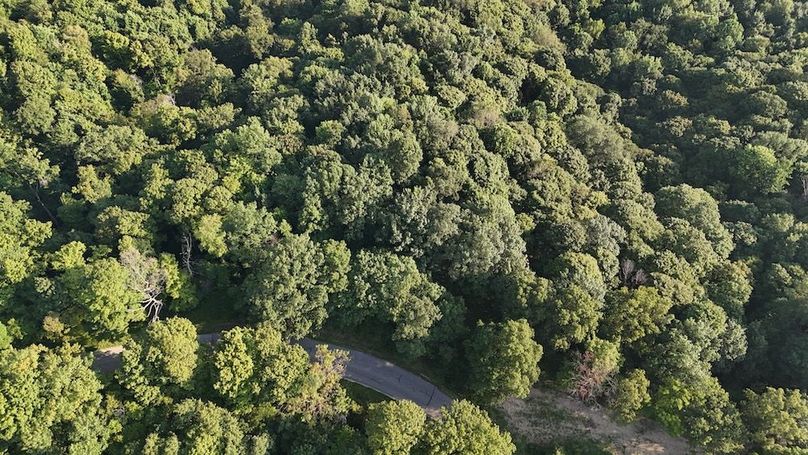 DJI_20250808085822_0728_D