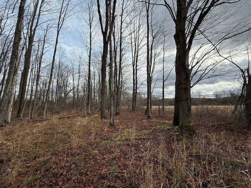 Tompkins_15.15_Galarza Photo 8