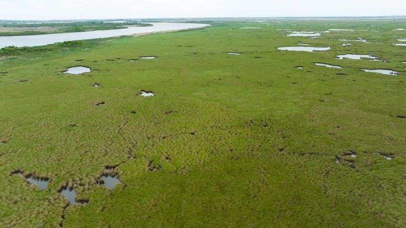 Cameron Parish LA 3,556 Pro Photo-89